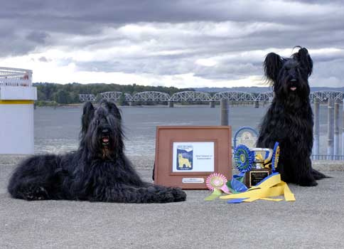 2005Briard_SaBrd_2399-(8x10